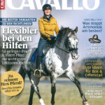 Cavallo im Lesezirkel mieten statt kaufen