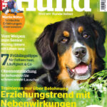 Partner Hund im Lesezirkel mieten statt kaufen